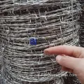 Filo spinato a doppio filo zincato a calo